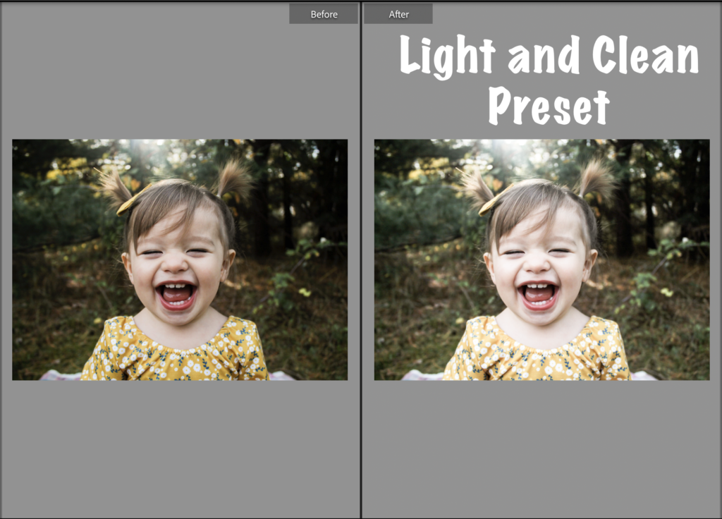 free blogger preset light and clean