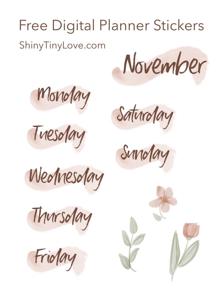 digital planner stickers with days of the week and november in rose gold palate with watercolor flowers